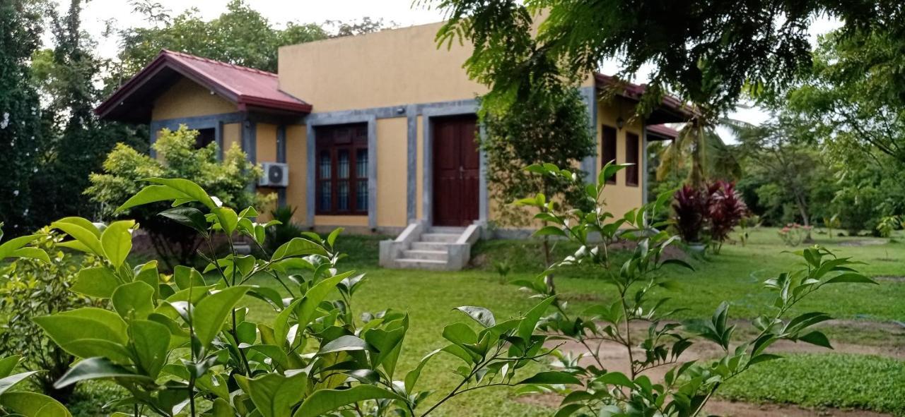 Villa De Lagoon View Тангалла Экстерьер фото
