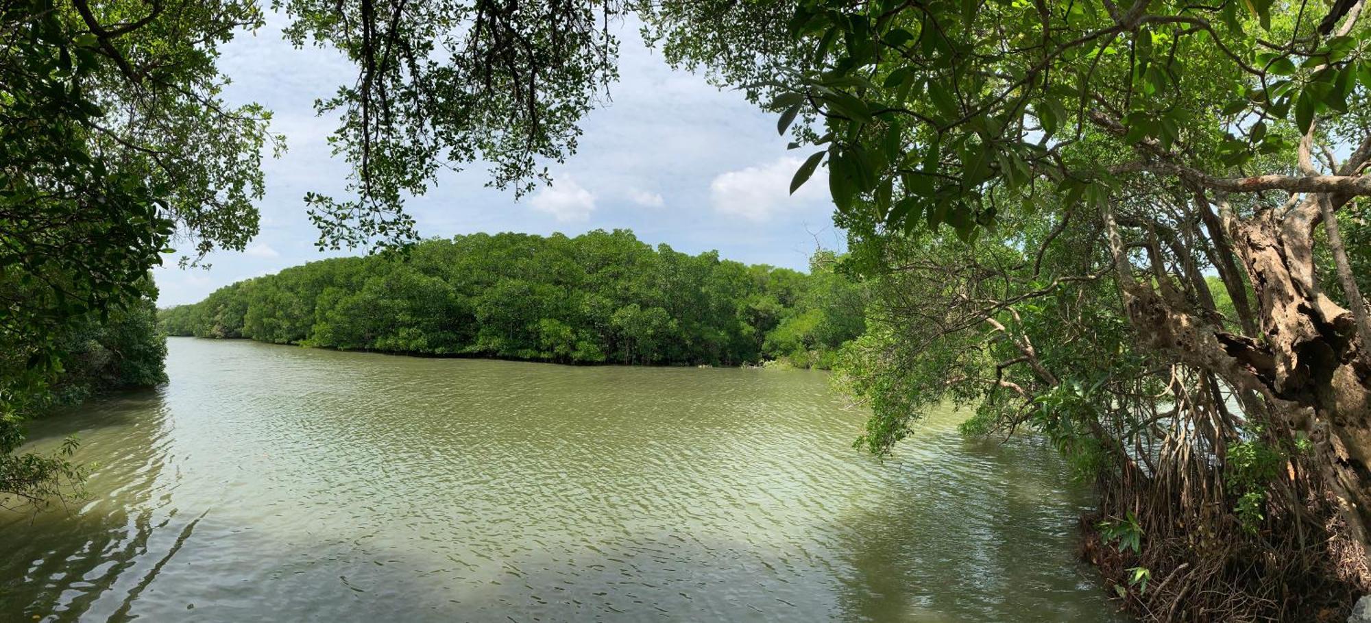 Villa De Lagoon View Тангалла Экстерьер фото