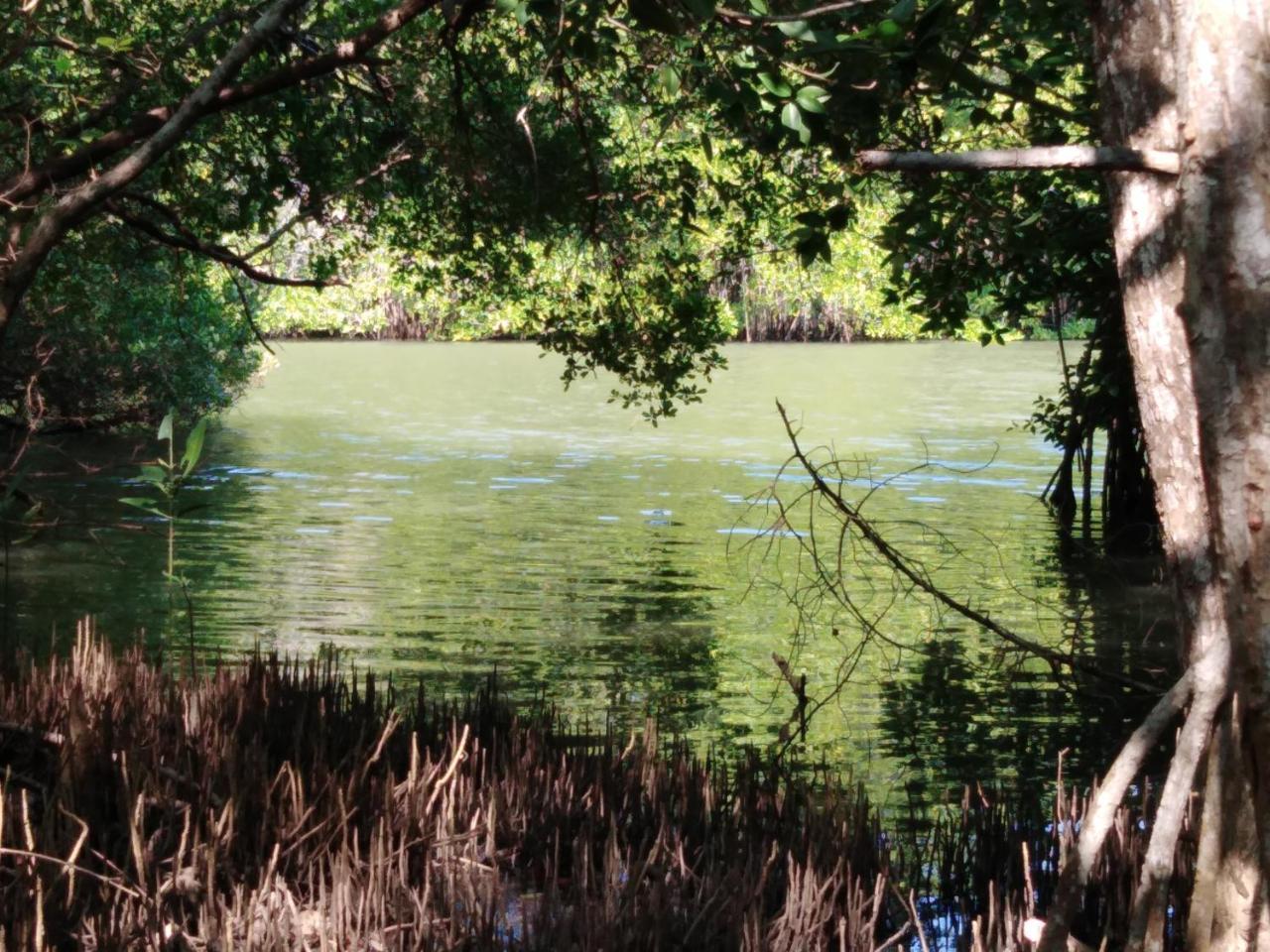 Villa De Lagoon View Тангалла Экстерьер фото